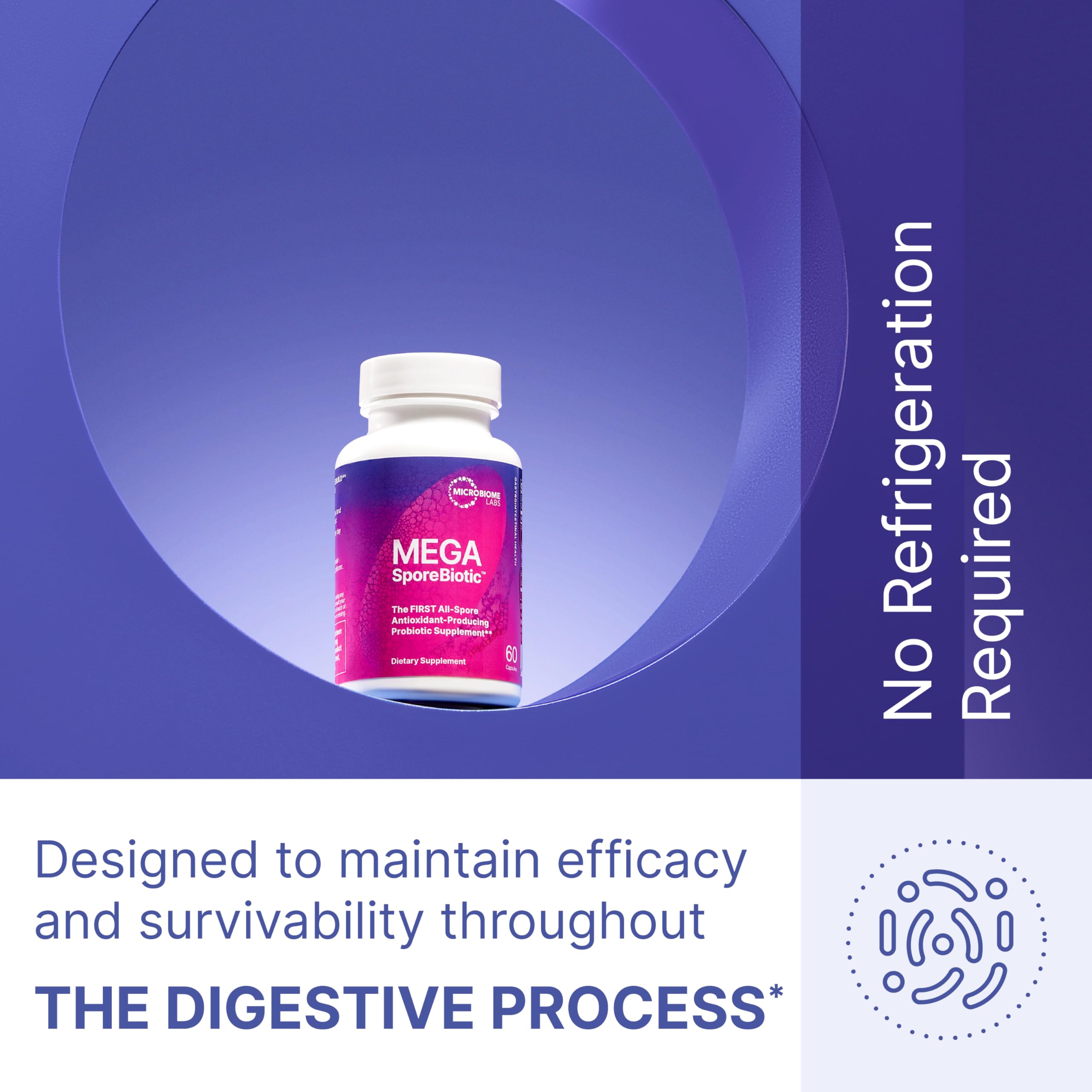 MegaSporeBiotic Probiotics – Spore-Based Digestive Support for Women & Men (180 Capsules)